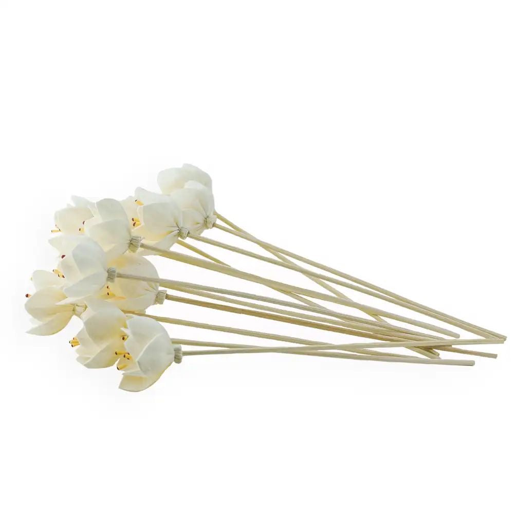 Lychee Fleur Reed Diffuser